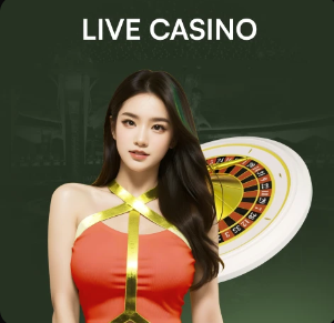 官方：郑钦文因伤退出WTA500斯图加特站